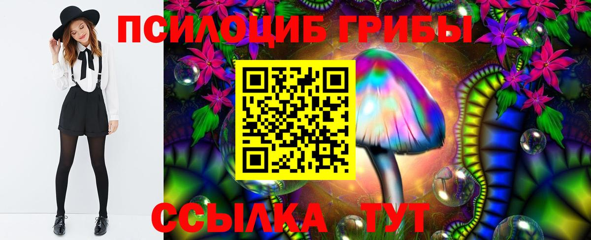 Галлюциногенные грибы мицелий  Псилоцибиновые грибы Psilocybe  Новосибирск  Вход с VPN 